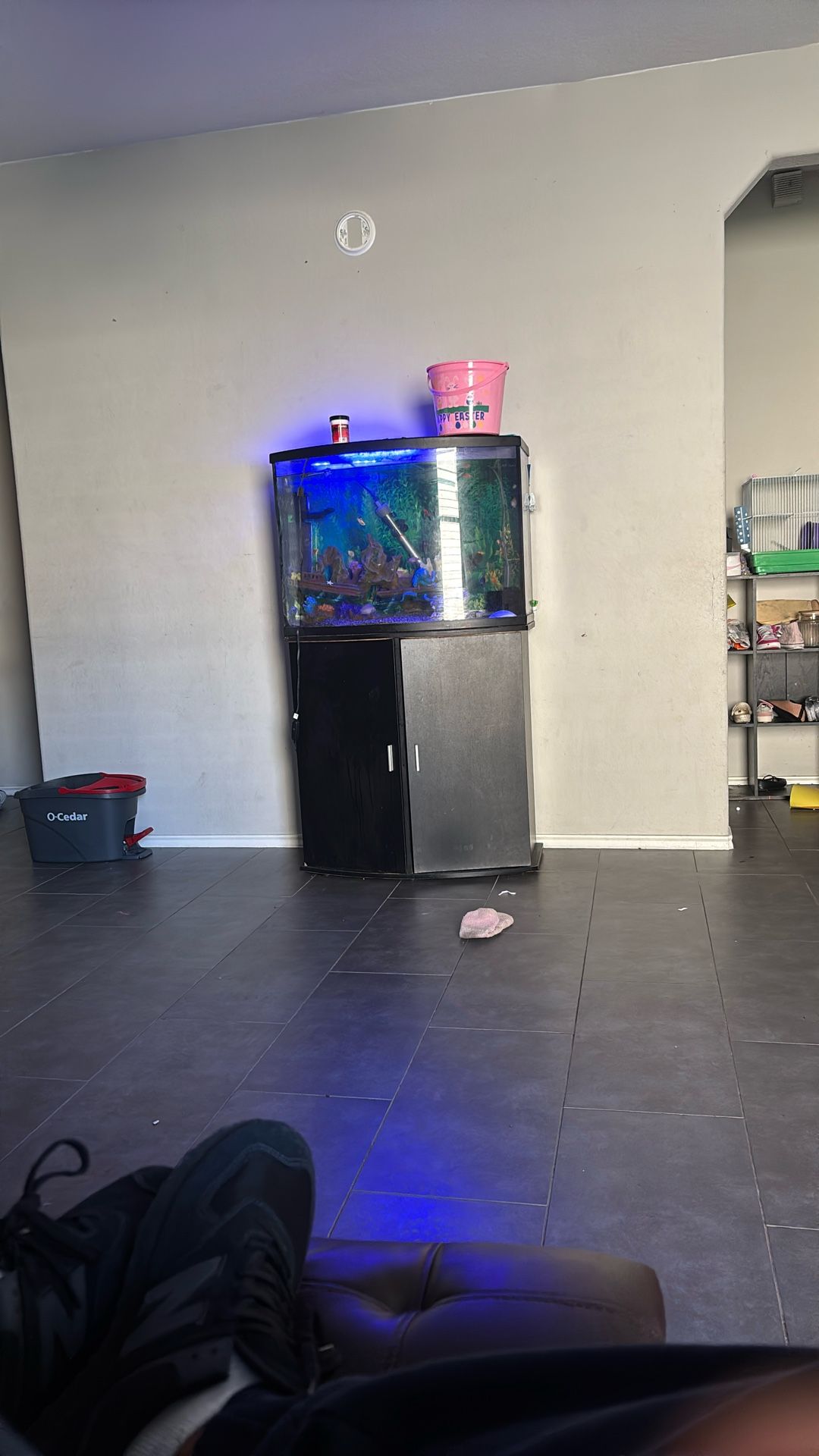 Fish Tank