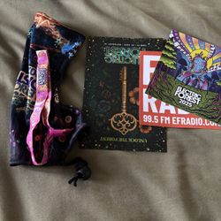 electric forest 2025 festival