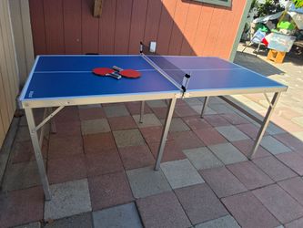 Ping pong table