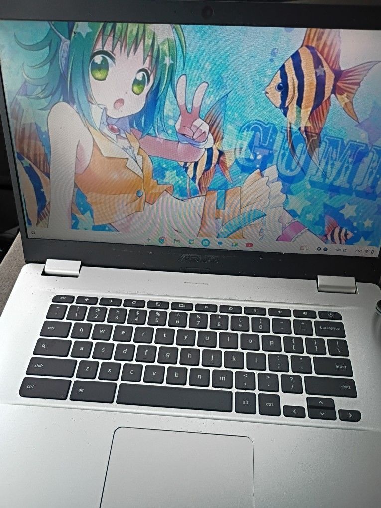 ASUS 15" Chromebook