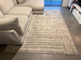 Large Cream Area Rug