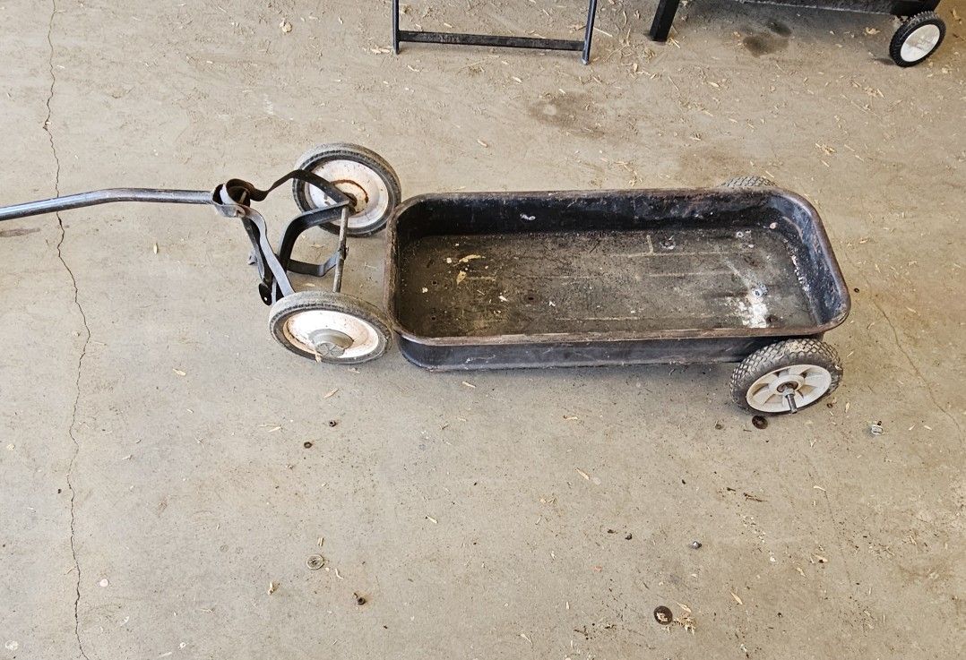 Radio flyer Wagon 