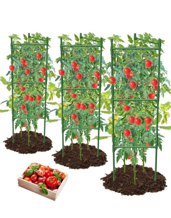 3 Pack Tomato Cage,Tomato Cage for Raised Garden Bed, 48'' Tall Tomato Trellis Triangle or Square Cages for Garden,Pots, Plant Cages & Supports
