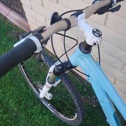 Trek 29 ER Mountain Bike 