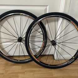 Mavic Aksium Race 10 Speed Wheelset