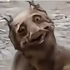 LGdog