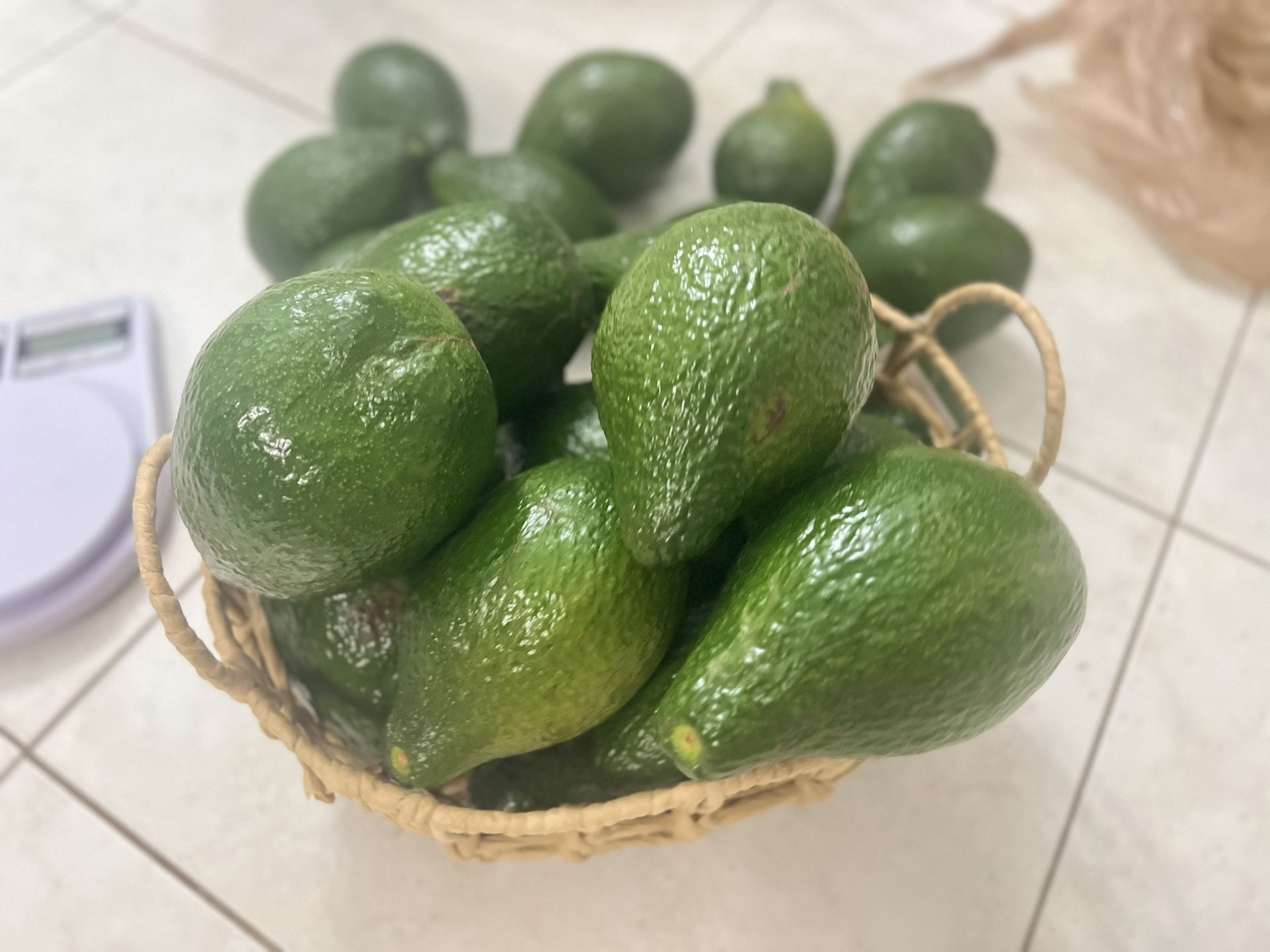 Organic Fresh Avocados $2 For Each One