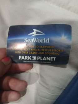 Sea World Ticket 