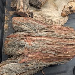 LogS And Cookie Cuts 