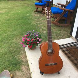 Córdoba C5 Acoustic Guitar 