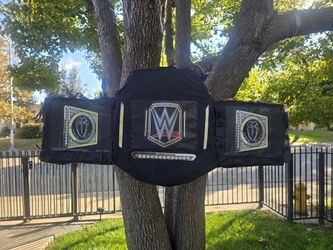 WWE PIÑATAS 