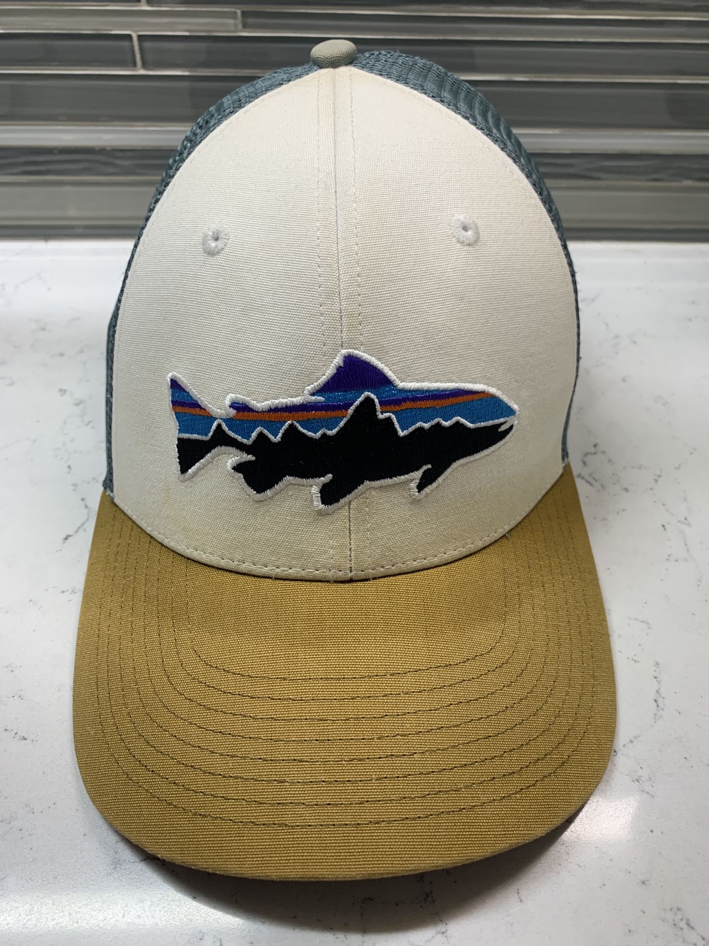Patagonia Adult Trucker Snapback Hat