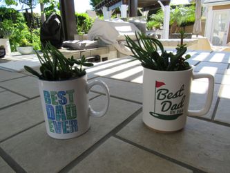 Set Of Father's Day Cup Garden Pots With Succulents