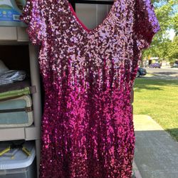 New Sequins Ombré Pink  Dress With Tags 