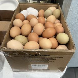 Guevos Frescos / Fresh Eggs