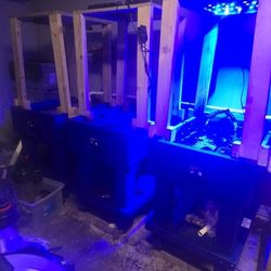 3-custom Made  Frag Tanks For Sale.