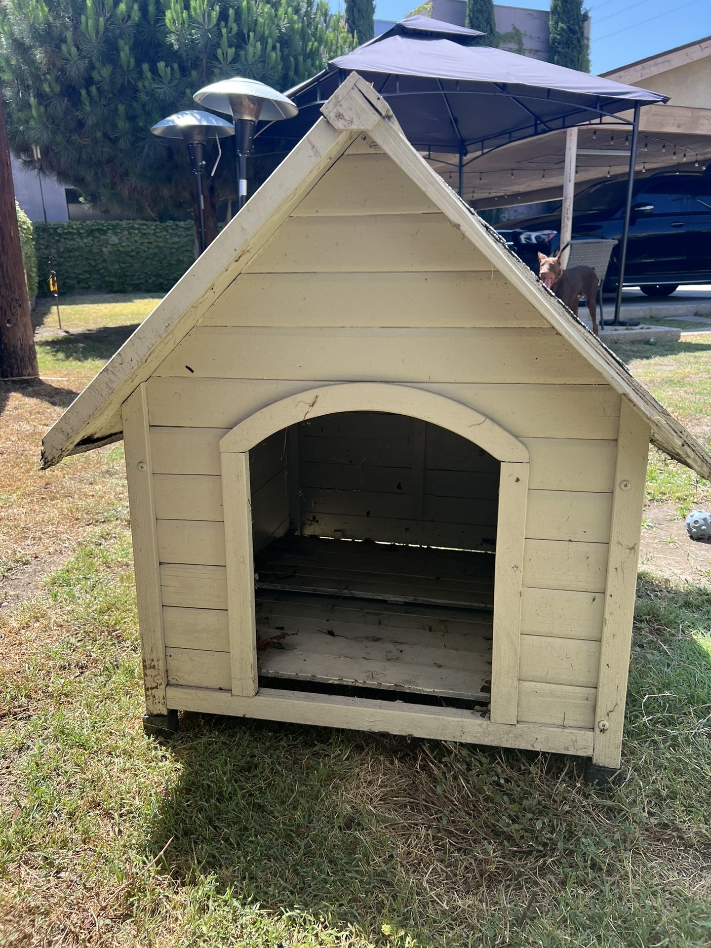 Dog House 