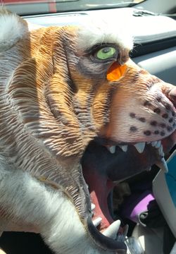 Vintage Tiger Halloween mask