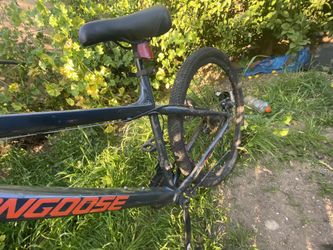 Mongoose Mountain Bike