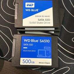 500GB WD Blue SSDs