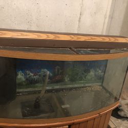 77 Gallon Bow Front Fish Tank And Stand