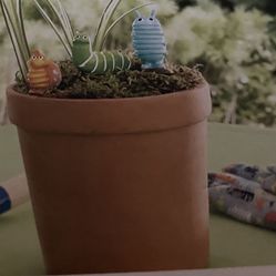 New Min Bug Garden/ Fairy Garden Plant Kits 