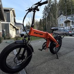 Rattan Electric Bike