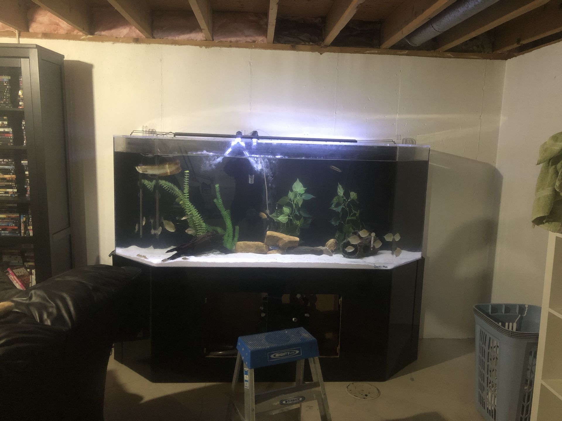 180 gallon acrylic aquarium