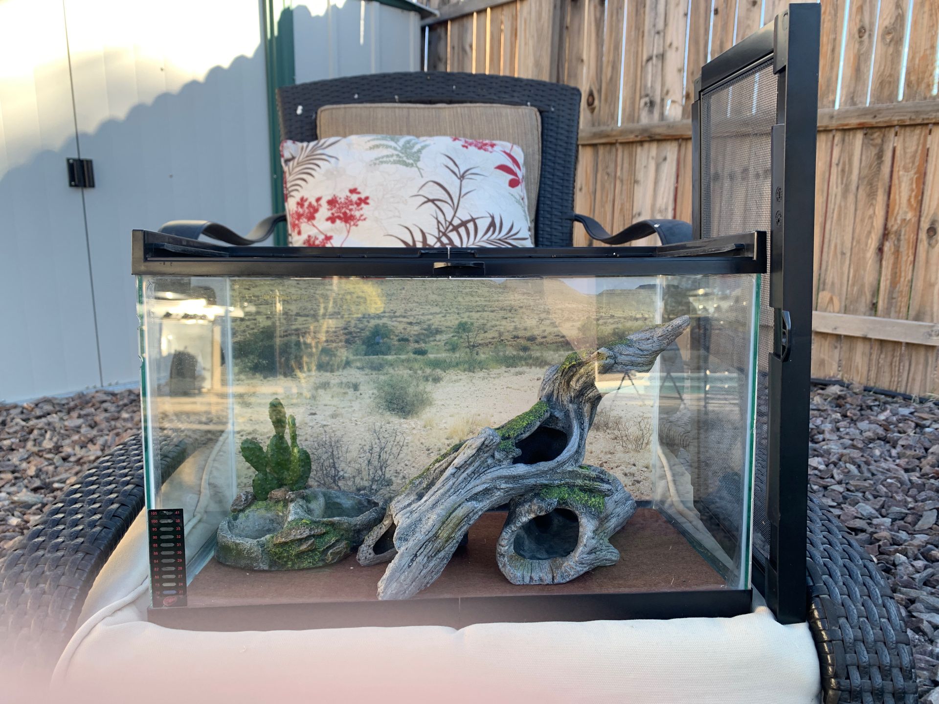 Beginner lizard tank for Sale in Chandler, AZ OfferUp