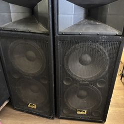 Equipo de Sonido Profesional