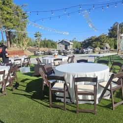 Resin Brown Chairs For Sale 