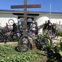 Dialed Mafia Bomma 26 Inch 