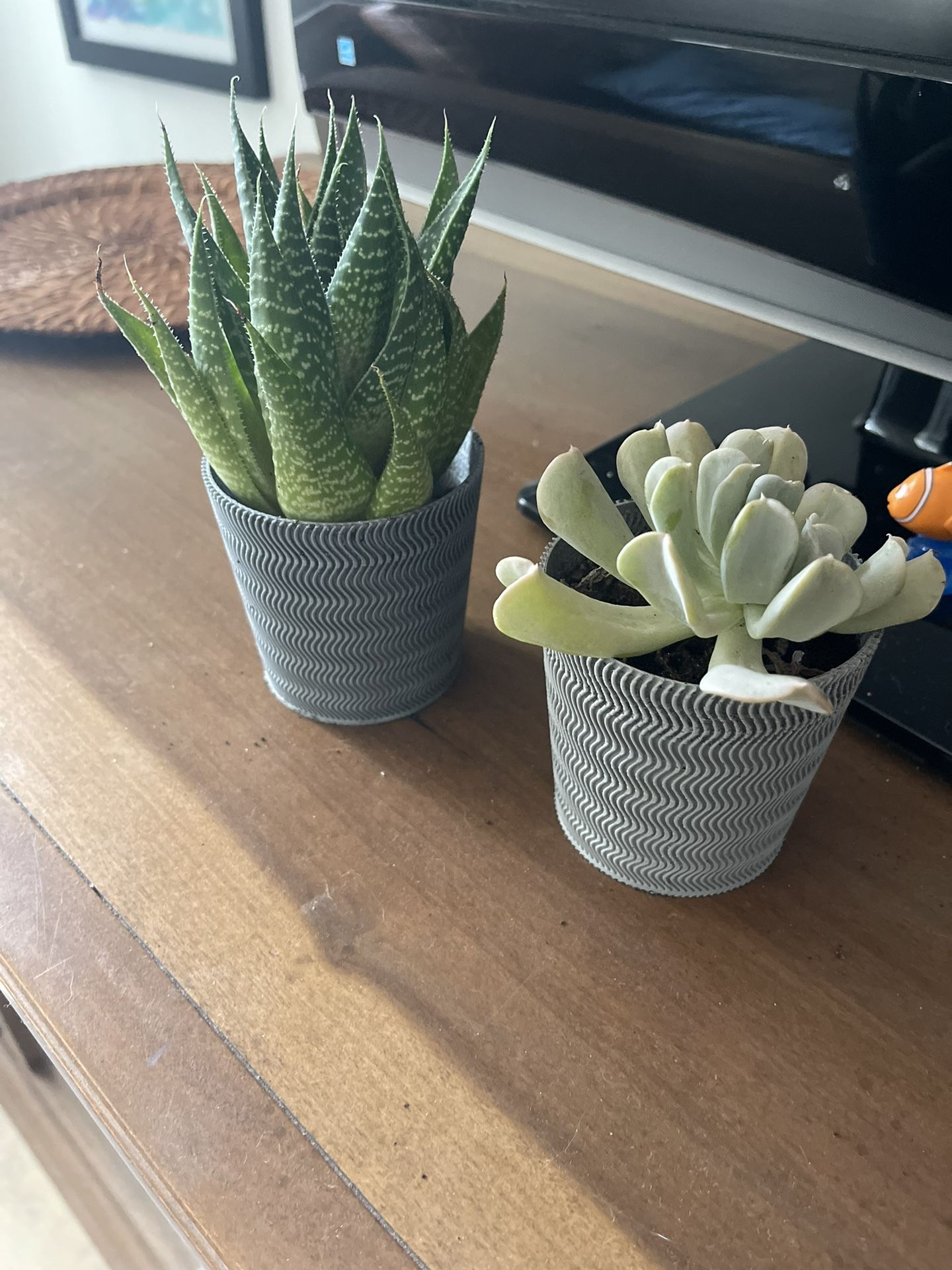 3D Printed Succulent Pots