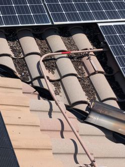 Pigeon solar screening