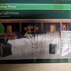 Holiday Light Show