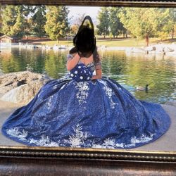 Navy Blue Quince  Dress 