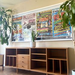 Charming Modern Record Credenza 