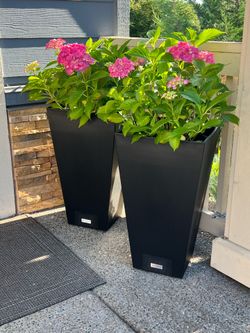 Beautiful Pink hydrangea in brand new 24’’ VERADEK planters