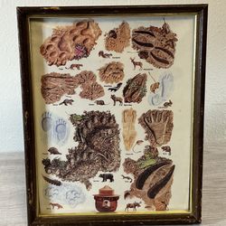 Smokey Bear Animal Tracks-framed