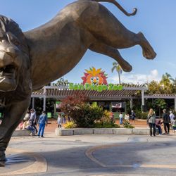 San Diego Zoo And Safari Park Tickets 