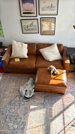 Mason Leather Ottoman and sofa  — Living Spaces ($1000)