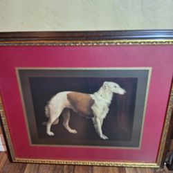 Portrait Of A Borzoi