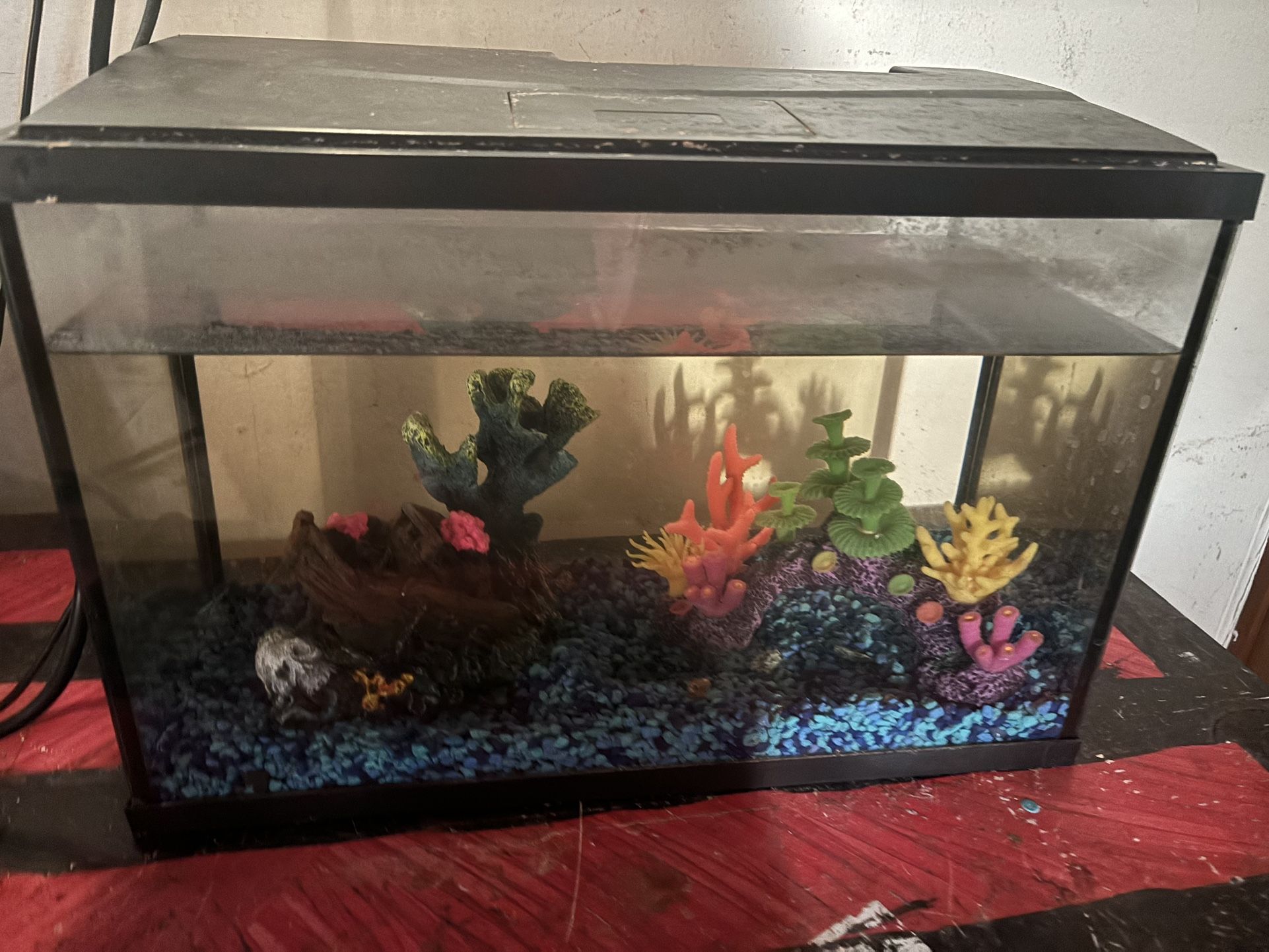 Set Up, Medium Aquarium 