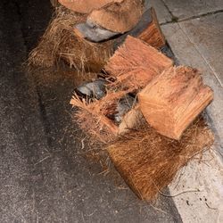 Free Wood