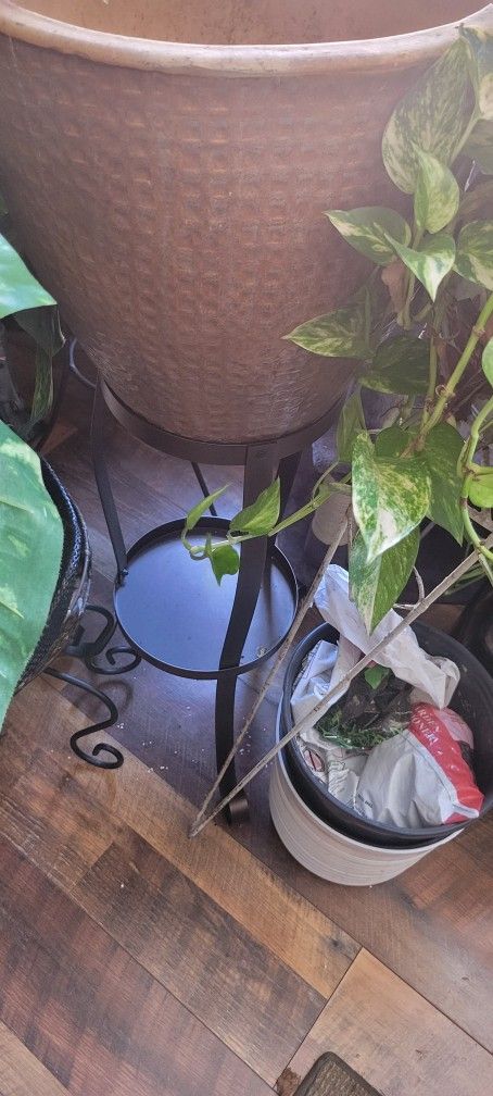 Plant Stands