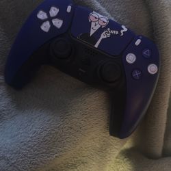 Custom Ps5 DualShock Remote 