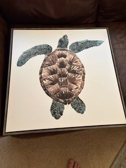 Turtle Painting