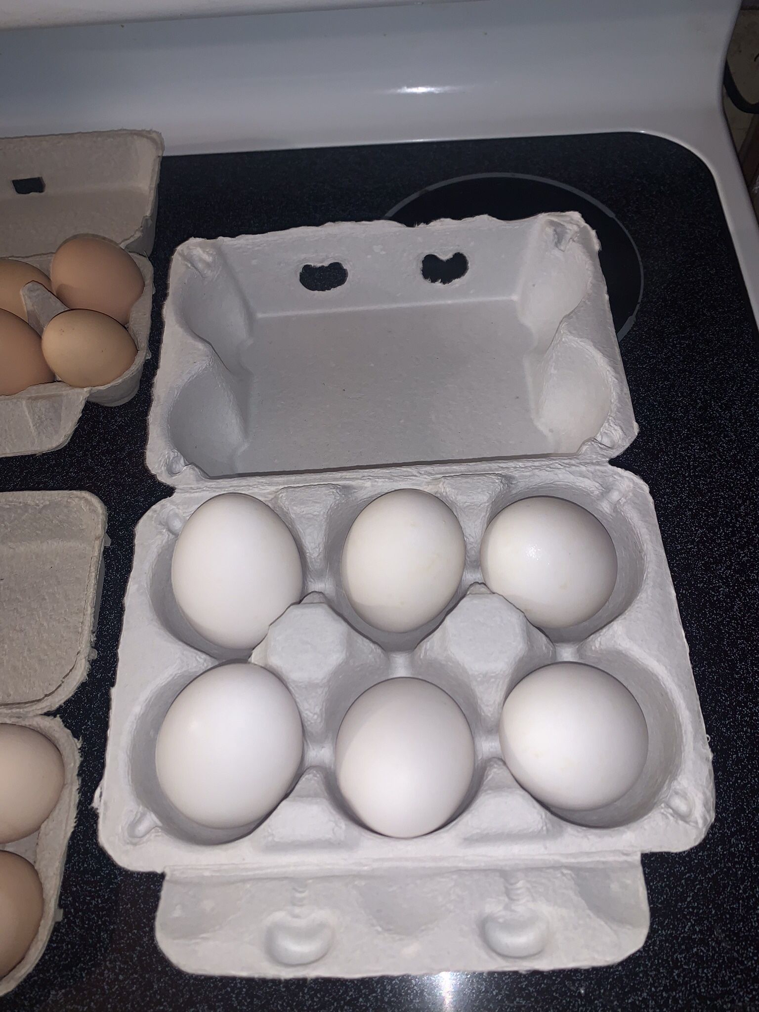 Farm Fresh Goose Eggs For Sale