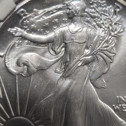 1991 American Silver Eagle $1 One Dollar Bullion Coin Gem PGA Authentic