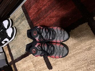 Reflective Air Max Plus 